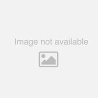 Ultra Hold Pro - 16 Fl Oz, Squeeze Bottle